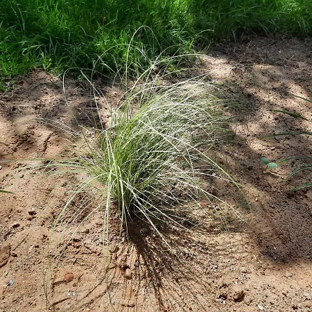 Appartement Ferien Im Fischerhaus